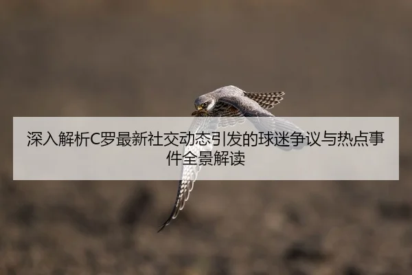 深入解析C罗最新社交动态引发的球迷争议与热点事件全景解读